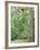 Jack, a 15-Pound Cat, Sits under a Treed Black Bear in a Backyard in West Milford, New Jersey-null-Framed Photographic Print