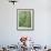 Jack, a 15-Pound Cat, Sits under a Treed Black Bear in a Backyard in West Milford, New Jersey-null-Framed Photographic Print displayed on a wall