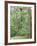 Jack, a 15-Pound Cat, Sits under a Treed Black Bear in a Backyard in West Milford, New Jersey-null-Framed Photographic Print