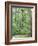 Jack, a 15-Pound Cat, Sits under a Treed Black Bear in a Backyard in West Milford, New Jersey-null-Framed Photographic Print