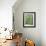 Jack, a 15-Pound Cat, Sits under a Treed Black Bear in a Backyard in West Milford, New Jersey-null-Framed Photographic Print displayed on a wall