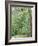 Jack, a 15-Pound Cat, Sits under a Treed Black Bear in a Backyard in West Milford, New Jersey-null-Framed Photographic Print