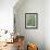 Jack, a 15-Pound Cat, Sits under a Treed Black Bear in a Backyard in West Milford, New Jersey-null-Framed Photographic Print displayed on a wall