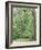 Jack, a 15-Pound Cat, Sits under a Treed Black Bear in a Backyard in West Milford, New Jersey-null-Framed Photographic Print