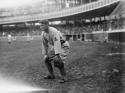 Vintage St Louis City Skyline Baseball At Gameday