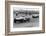 Jack Brabham leads in his Cooper T45, 1958 British Grand Prix-null-Framed Photographic Print