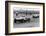 Jack Brabham leads in his Cooper T45, 1958 British Grand Prix-null-Framed Photographic Print