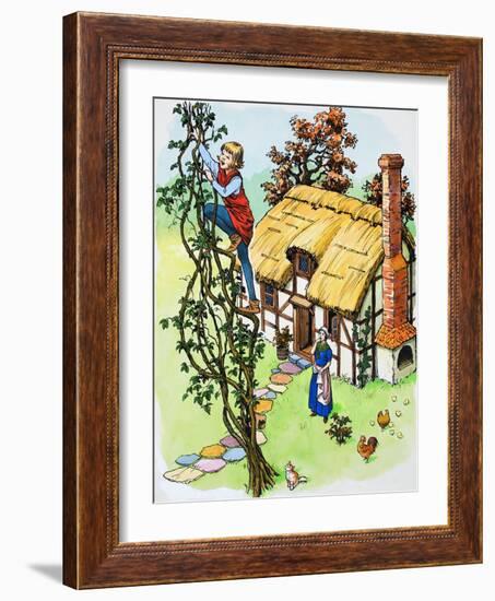 Jack Climbs the Beanstalk, Illustration from 'Jack and the Beanstalk', 1969-English School-Framed Giclee Print