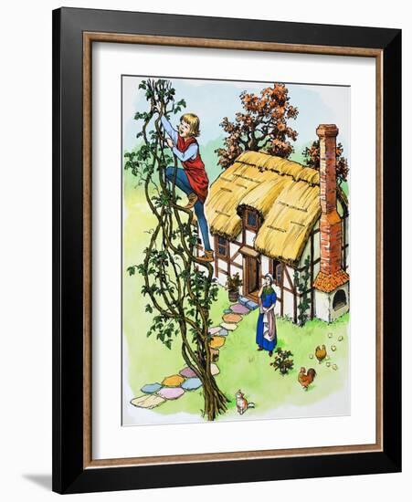 Jack Climbs the Beanstalk, Illustration from 'Jack and the Beanstalk', 1969-English School-Framed Giclee Print