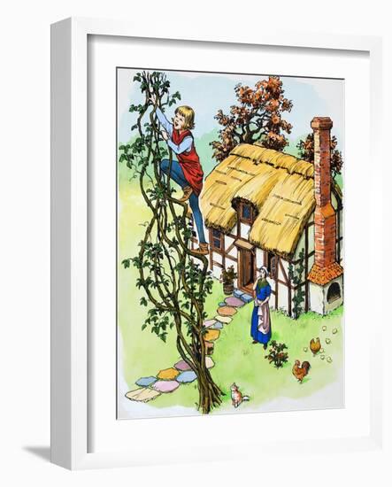 Jack Climbs the Beanstalk, Illustration from 'Jack and the Beanstalk', 1969-English School-Framed Giclee Print