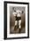 Jack Dempsey, American Boxer, 1938-null-Framed Giclee Print