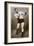 Jack Dempsey, American Boxer, 1938-null-Framed Giclee Print