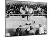 Jack Dempsey, World Heavyweight Champion. Boxing in the Ring, Ca. 1922-26-null-Mounted Photo