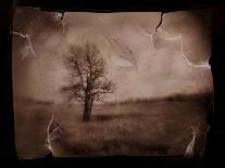 Hanging Tree-Jack Germsheld-Framed Photographic Print