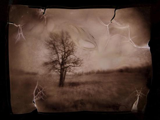 Photographic Print, , large