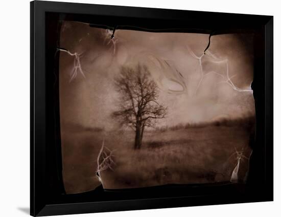 Photographic Print, , large