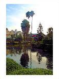 Two Palm Trees in the Sky-Jack Heinz-Framed Giclee Print