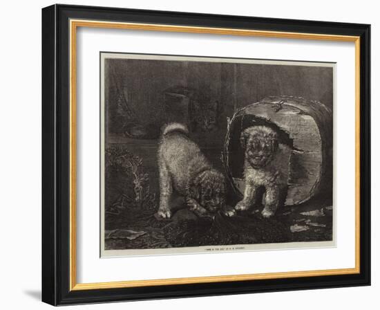 Jack in the Box-Horatio Henry Couldery-Framed Giclee Print