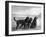 Jack Judy and Jill of Cromux Three Gordon Setters in a Field Owned by Eden-Thomas Fall-Framed Photographic Print