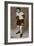 Jack 'Kid' Berg, English Boxer, 1938-null-Framed Giclee Print