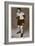 Jack 'Kid' Berg, English Boxer, 1938-null-Framed Giclee Print