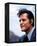 Jack Lord - Hawaii Five-O-null-Framed Stretched Canvas