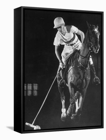 Jack Murphy Playing Polo-Allan Grant-Framed Premier Image Canvas