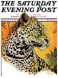 "Leopard," Saturday Evening Post Cover, August 29, 1931-Jack Murray-Giclee Print