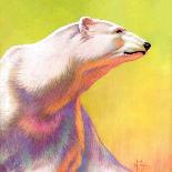 "Polar Bear,"February 1, 1936-Jack Murray-Giclee Print