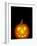 Jack-O-Lantern, Halloween, Washington, USA-null-Framed Photographic Print