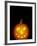 Jack-O-Lantern, Halloween, Washington, USA-null-Framed Photographic Print