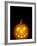 Jack-O-Lantern, Halloween, Washington, USA-null-Framed Photographic Print