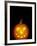 Jack-O-Lantern, Halloween, Washington, USA-null-Framed Photographic Print