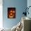 Jack-O-Lantern Lit at Halloween, Washington, USA-Merrill Images-Photographic Print displayed on a wall