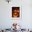 Jack-O-Lantern Lit at Halloween, Washington, USA-Merrill Images-Framed Photographic Print displayed on a wall
