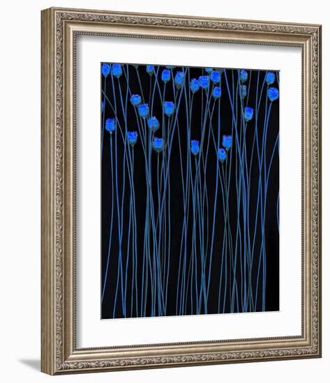 Jack Poppies Moondance-null-Framed Art Print