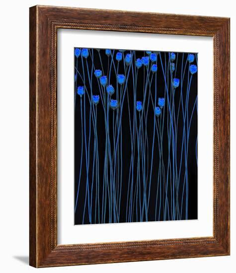 Jack Poppies Moondance-null-Framed Art Print