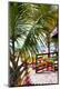 Premium Photographic Print