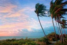 Key West-Jack Reed-Photographic Print
