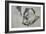 Jack Russel, 2015-Lou Gibbs-Framed Giclee Print