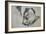 Jack Russel, 2015-Lou Gibbs-Framed Giclee Print