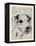 Jack Russel-Tina Carlson-Framed Stretched Canvas