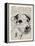 Jack Russel-Tina Carlson-Framed Stretched Canvas