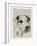 Jack Russel-Tina Carlson-Framed Art Print