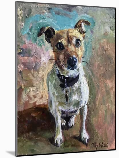 Jack Russell 2020 (oil)-Tilly Willis-Mounted Giclee Print