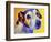 Jack Russell - Mudgee-Dawgart-Framed Giclee Print