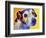 Jack Russell - Mudgee-Dawgart-Framed Giclee Print