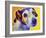 Jack Russell - Mudgee-Dawgart-Framed Giclee Print