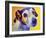 Jack Russell - Mudgee-Dawgart-Framed Giclee Print