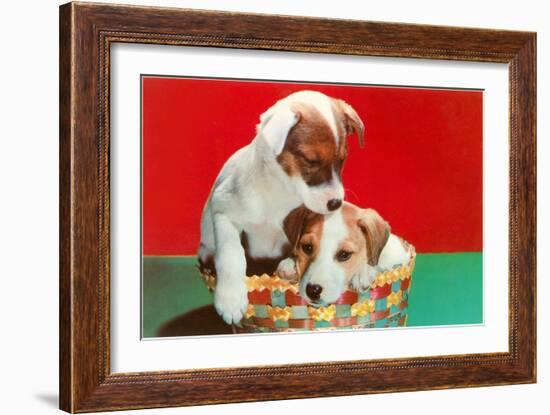 Jack Russell Puppies in Basket-null-Framed Art Print